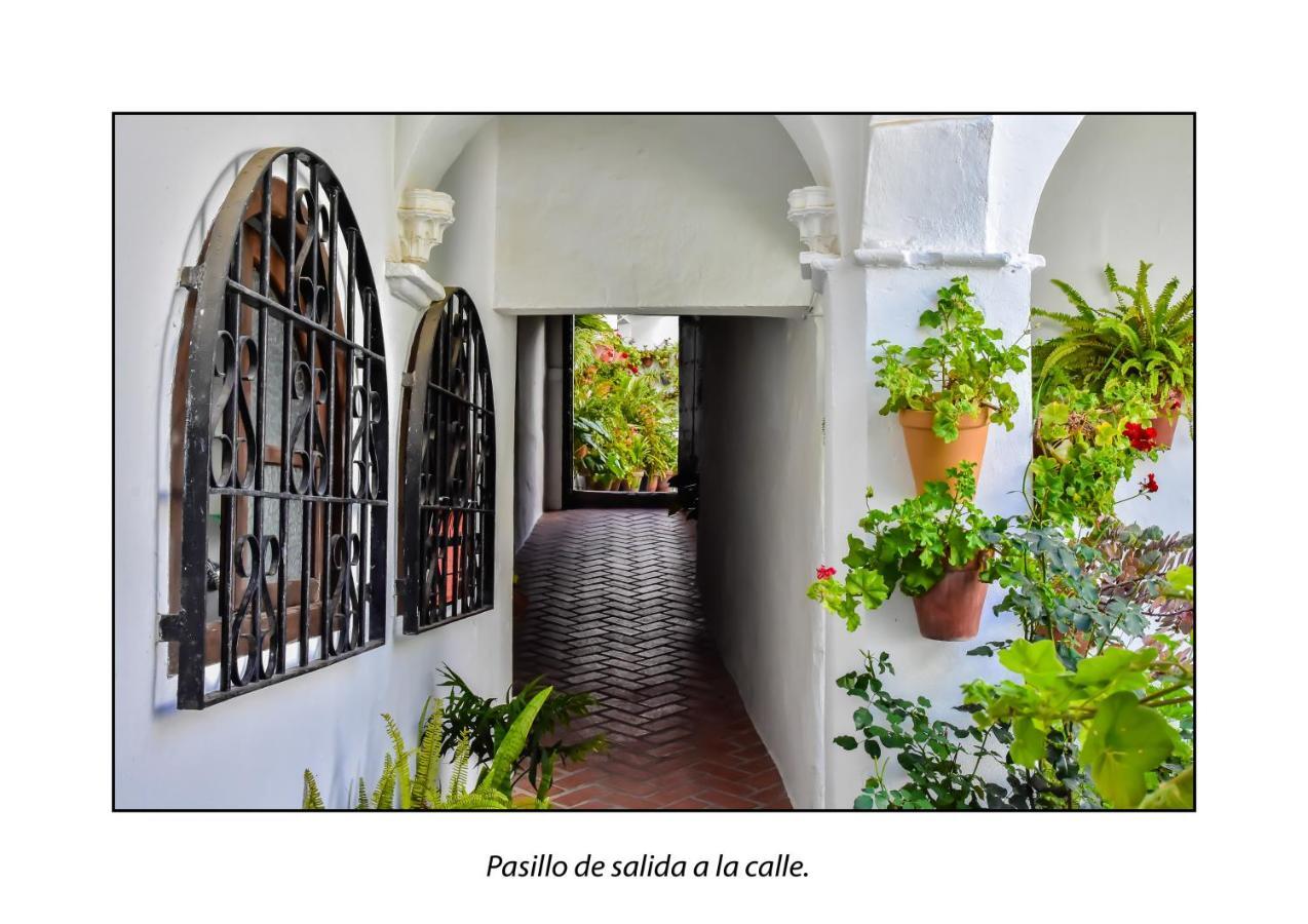 Casa Del Mayorazgo Con Plaza De Parking Privada Вьер де ла Фронтера Экстерьер фото